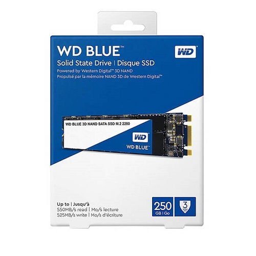 SSD WD Blue 250GB M2-2280